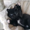 Minnie