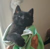 Oliver
