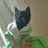 Oliver