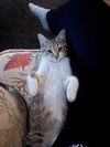 Izzy