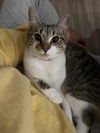 Izzy