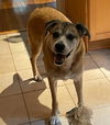 Buster