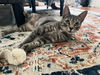 Marlowe