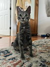 Marlowe