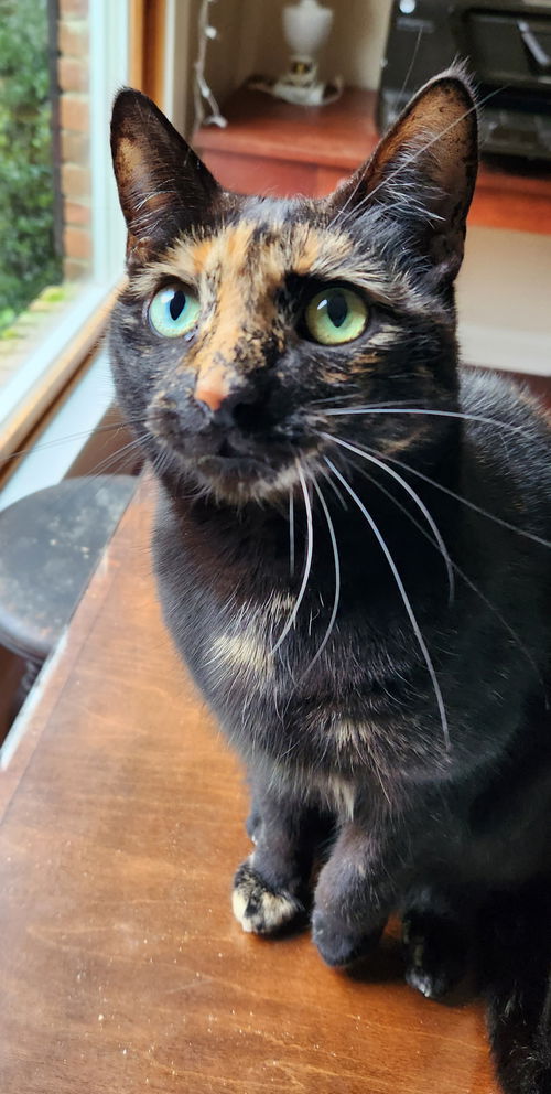Macy Grace