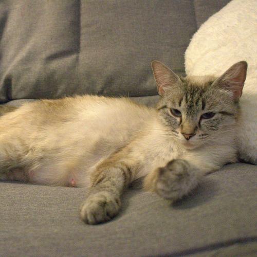 Luna
