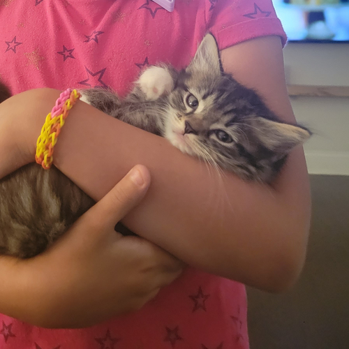 Peanut