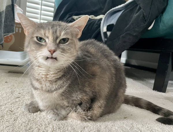 Cleopatra
