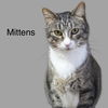 Mittens