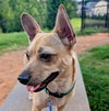 Sandy - Photo 3