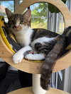 Cleo - Photo 1