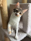 Cleo - Photo 3
