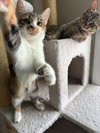 Pixle - Photo 2