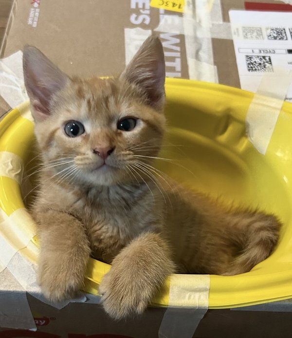 Sam