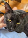 Jett - Photo 5