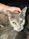 Lilly - Photo 3