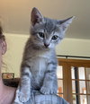 Tabitha - Photo 3