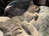 Tabitha - Photo 5