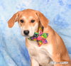 Holly - Photo 2