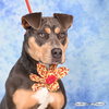 Tinsley - Photo 2