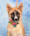 Sandy - Photo 2