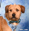 Biggs - Photo 1