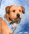 Biggs - Photo 2