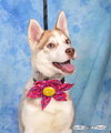Moxie - Photo 2