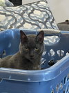 Theodore - Photo 1