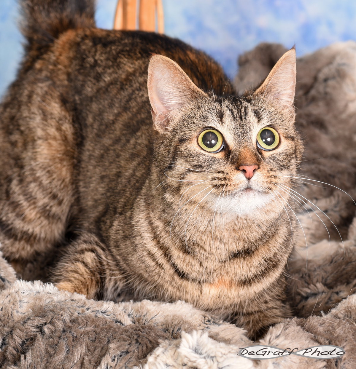 Nina Image