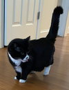 Mindy - Photo 1