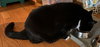 Mindy - Photo 3