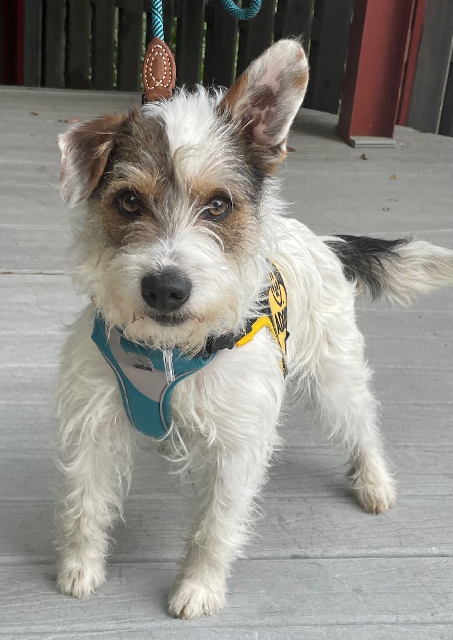 Maximilian (Max)