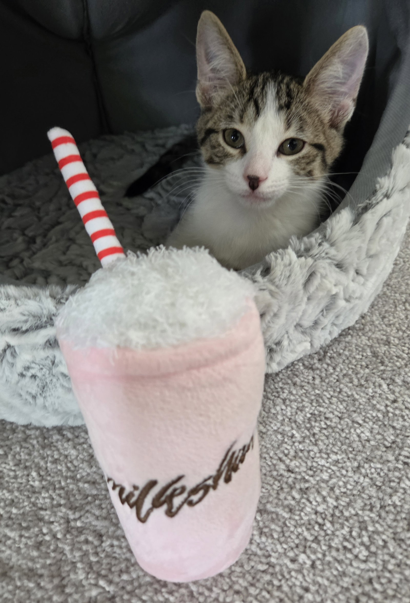 Milkshake