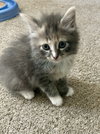 Fluffy