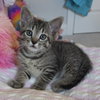 Milton