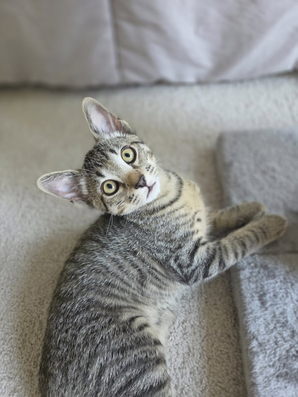 Milton