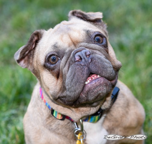 Etta