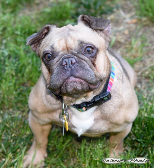 Etta photo 2
