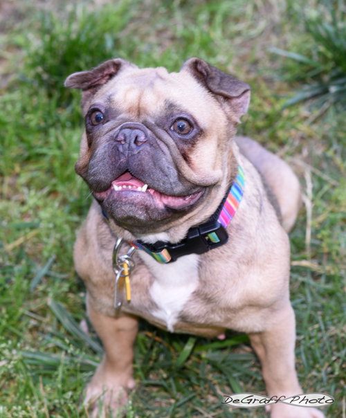 Etta photo 3