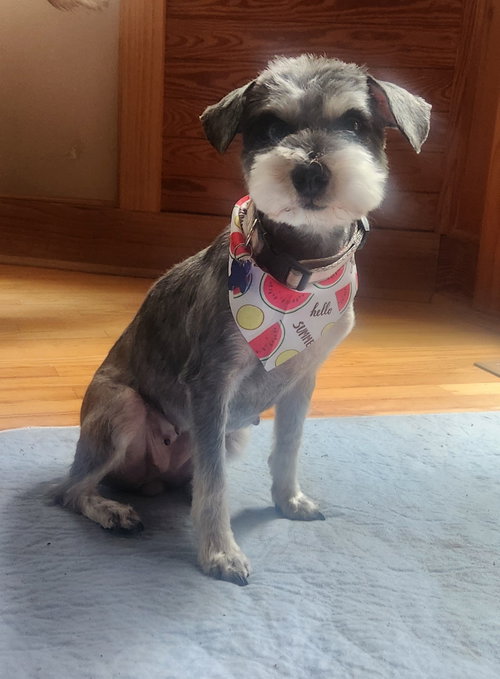 Darla