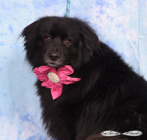 Sigyn photo 2