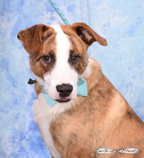 Eddie photo 3