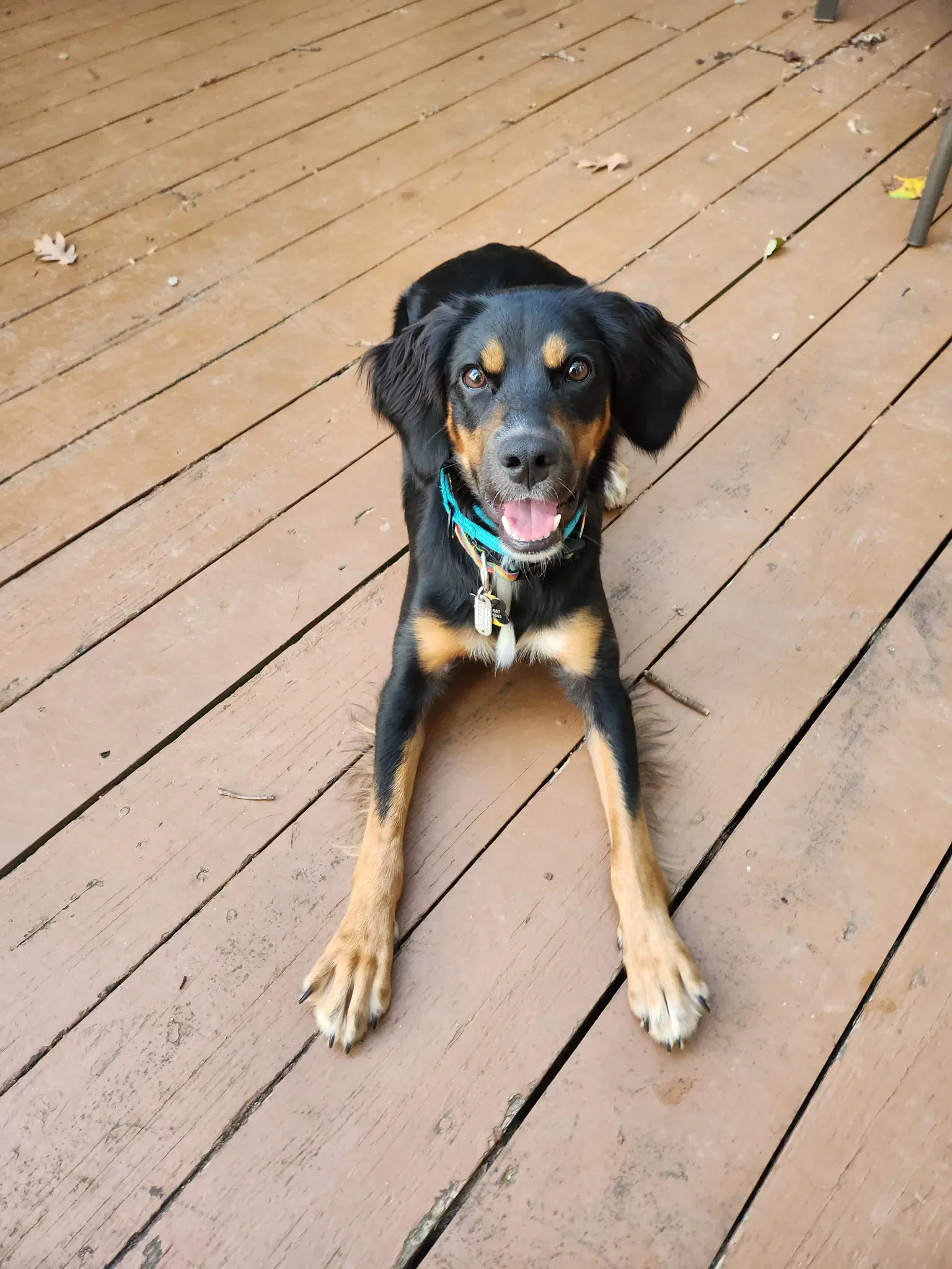 Maggie image 3