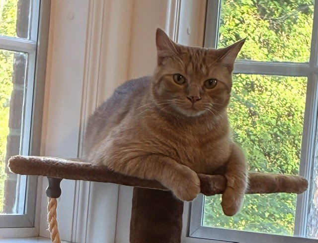 Baldur, photo 5