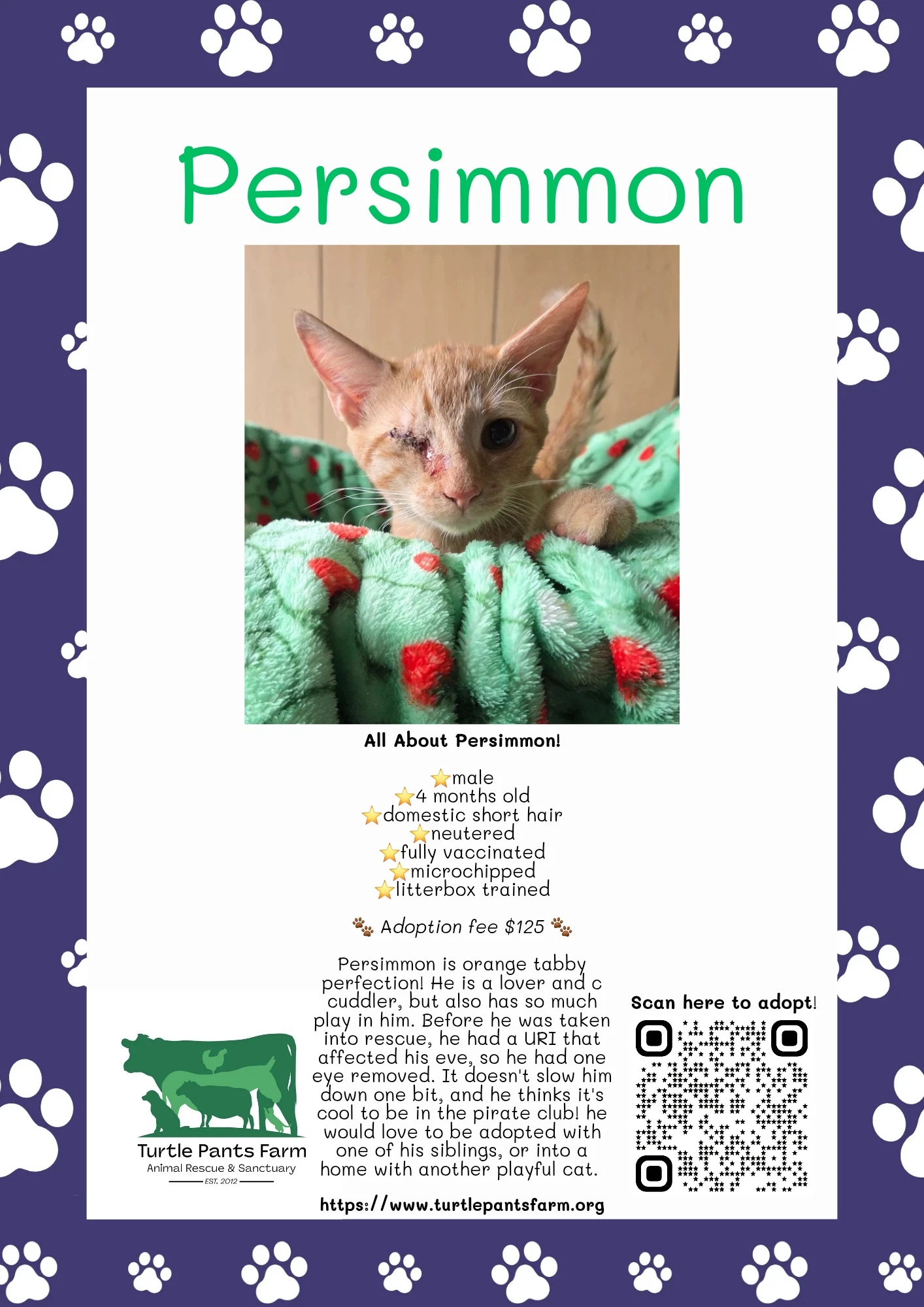 Persimmon