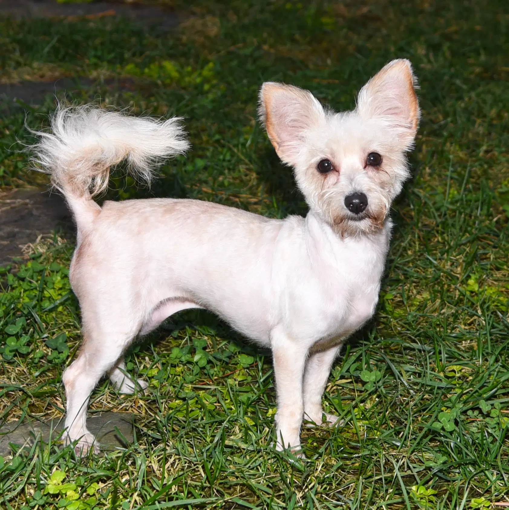 Addie image 2