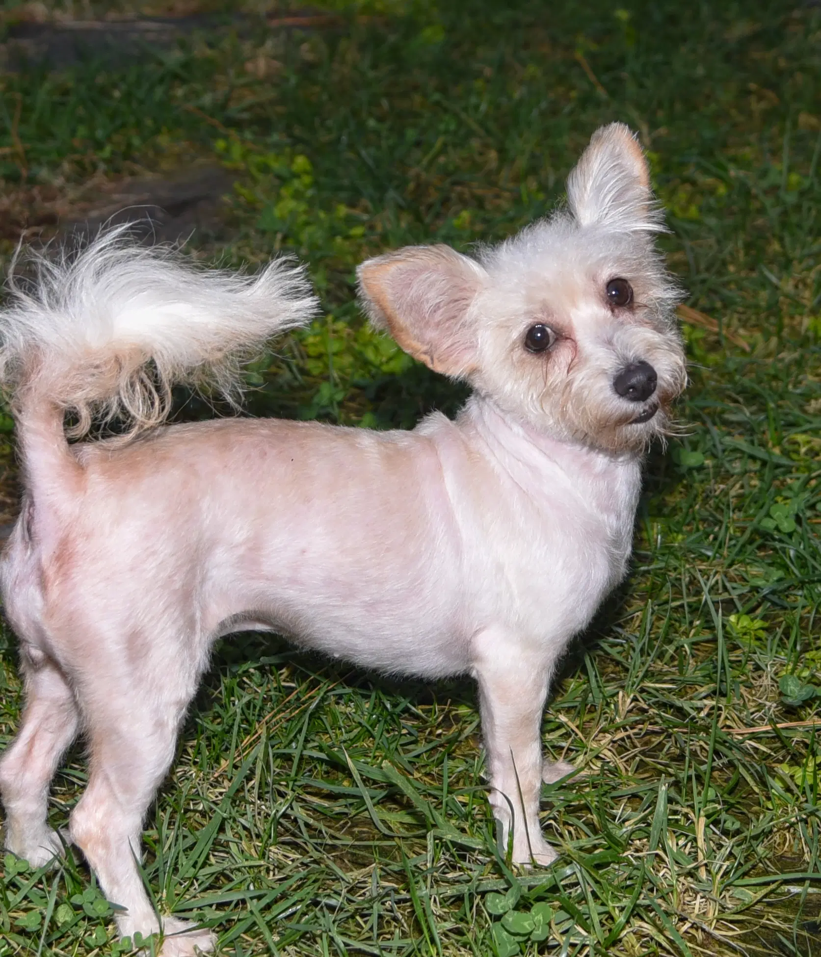 Addie image 3