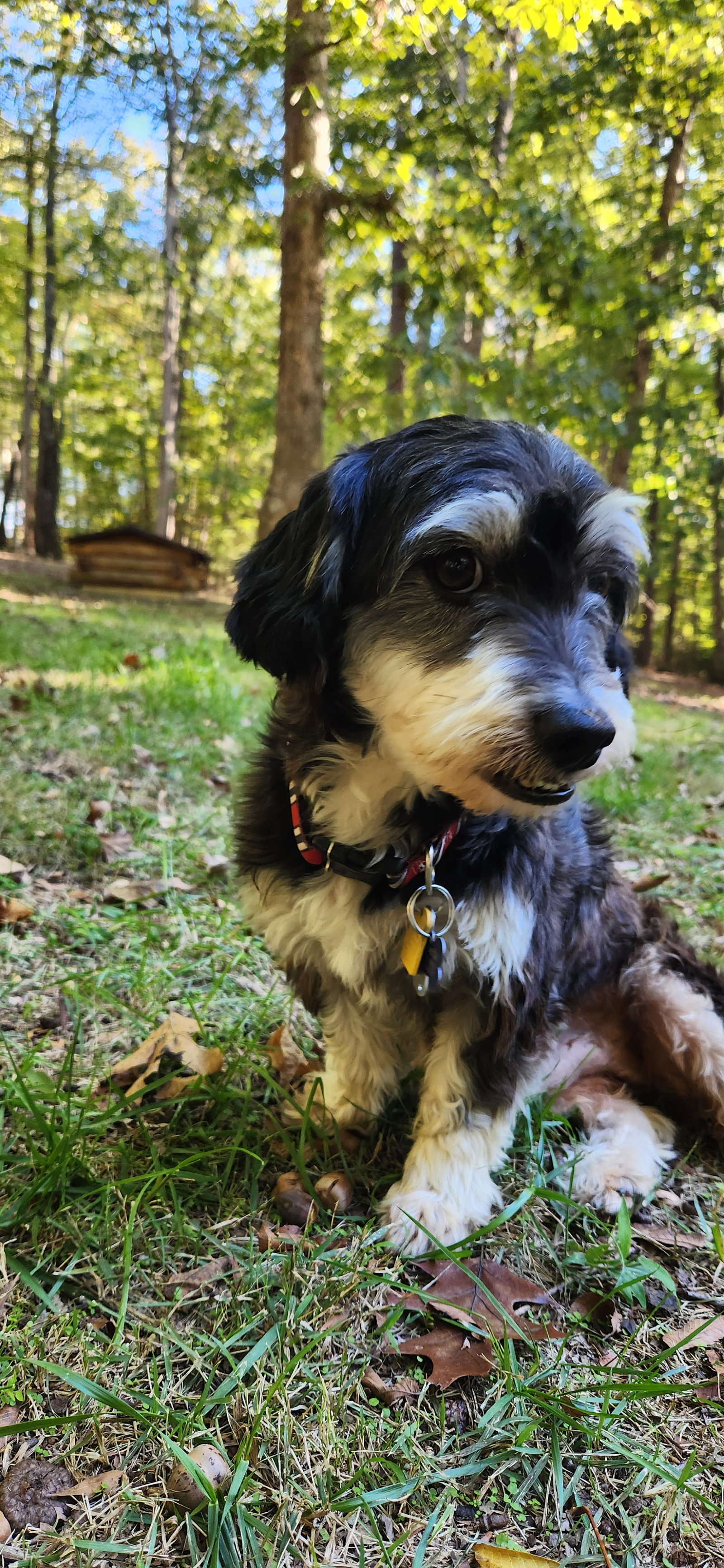 Ernest, photo 5
