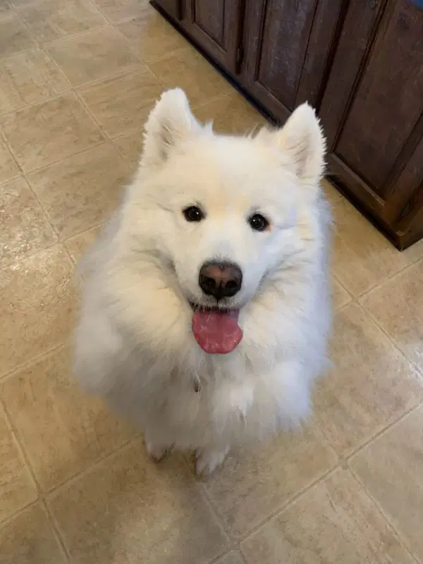 Kylee image 1